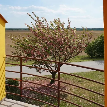 Guest house Leo -